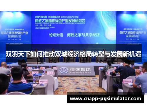 双羽天下如何推动双城经济格局转型与发展新机遇 双羽天下如何推动双城经济格局转型与发展新机遇