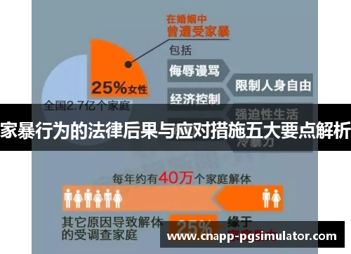 家暴行为的法律后果与应对措施五大要点解析 家暴行为的法律后果与应对措施五大要点解析