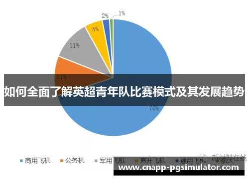 如何全面了解英超青年队比赛模式及其发展趋势 如何全面了解英超青年队比赛模式及其发展趋势