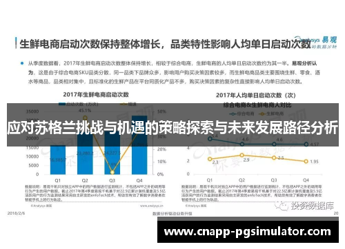 应对苏格兰挑战与机遇的策略探索与未来发展路径分析