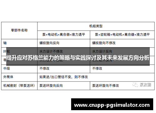 提升应对苏格兰能力的策略与实践探讨及其未来发展方向分析