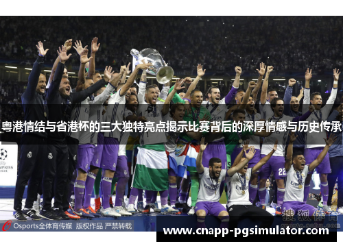 粤港情结与省港杯的三大独特亮点揭示比赛背后的深厚情感与历史传承