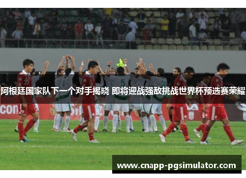 阿根廷国家队下一个对手揭晓 即将迎战强敌挑战世界杯预选赛荣耀