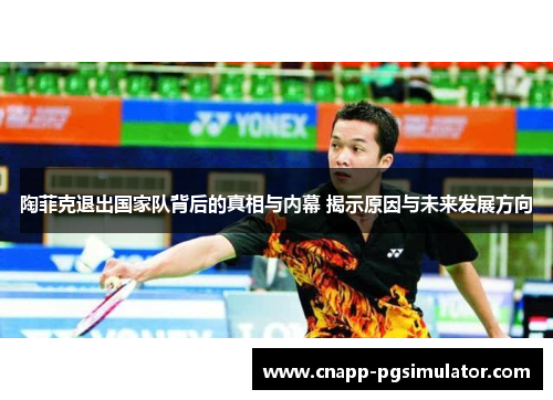 陶菲克退出国家队背后的真相与内幕 揭示原因与未来发展方向