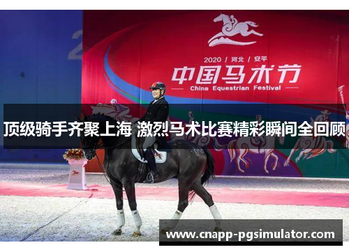顶级骑手齐聚上海 激烈马术比赛精彩瞬间全回顾 顶级骑手齐聚上海 激烈马术比赛精彩瞬间全回顾