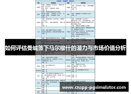如何评估曼城签下马尔穆什的潜力与市场价值分析 如何评估曼城签下马尔穆什的潜力与市场价值分析