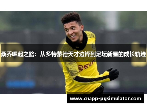 桑乔崛起之路:从多特蒙德天才边锋到足坛新星的成长轨迹 桑乔崛起之路:从多特蒙德天才边锋到足坛新星的成长轨迹