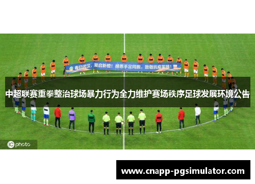 中超联赛重拳整治球场暴力行为全力维护赛场秩序足球发展环境公告