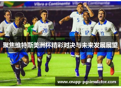 聚焦维特斯美洲杯精彩对决与未来发展展望 聚焦维特斯美洲杯精彩对决与未来发展展望