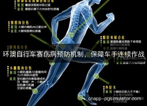 环澳自行车赛伤病预防机制,保障车手连续作战 环澳自行车赛伤病预防机制,保障车手连续作战